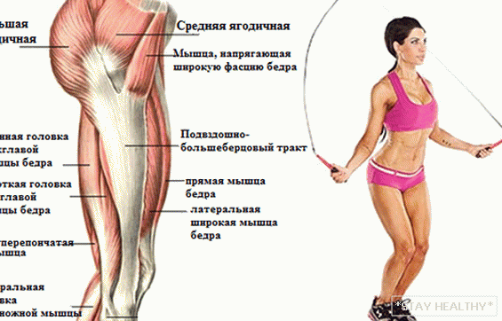 Welche Muskeln werden im Springseil trainiert?