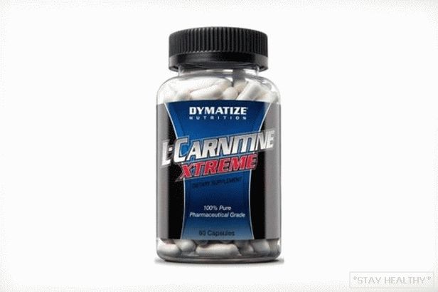 L-Carnitin - Fettverbrenner