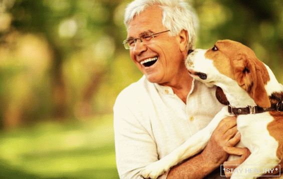 Warum leben Hundebesitzer länger?