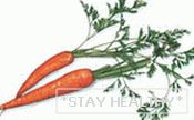 в моркови много витамина а